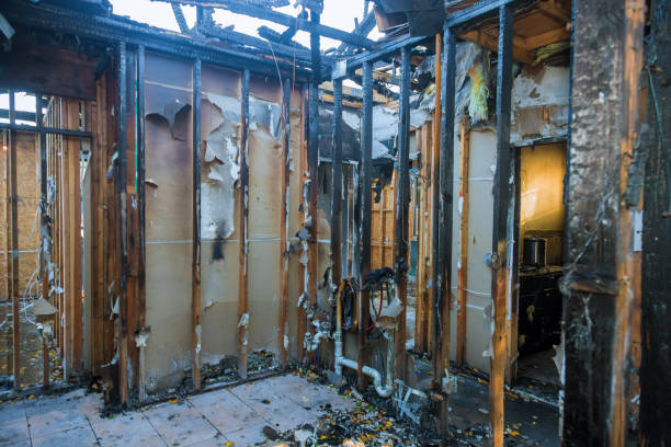 Professional Odor Removal technician working in West Van Lear, KY
